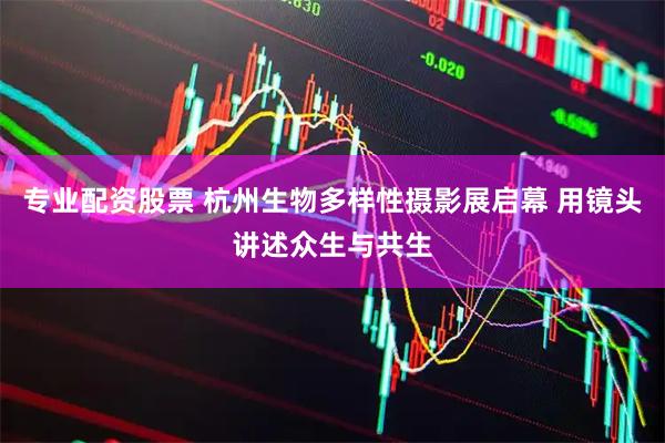 专业配资股票 杭州生物多样性摄影展启幕 用镜头讲述众生与共生